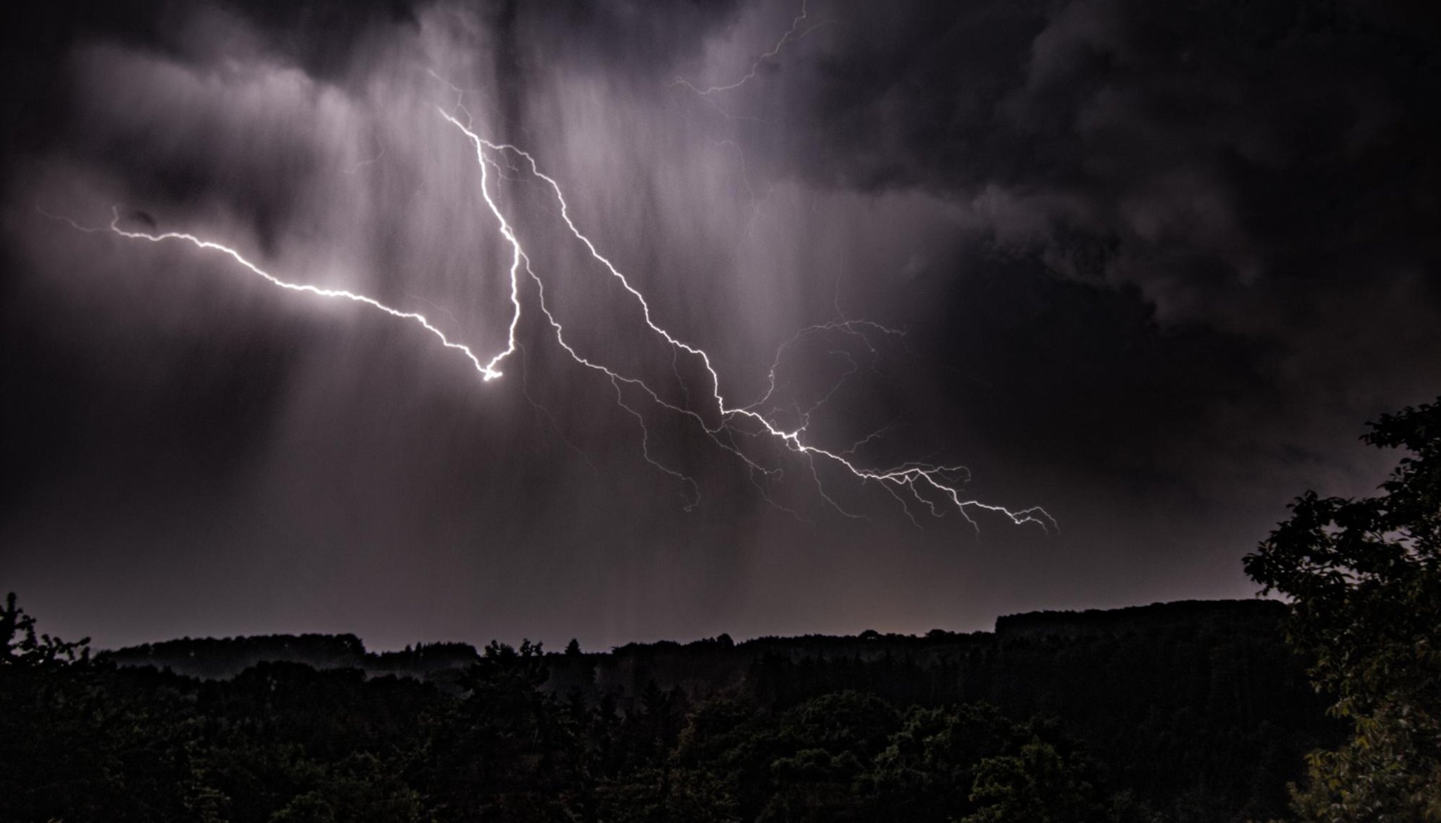 Why Choose Blackout Electric